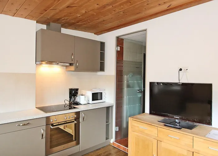 In Near Zillertal Area Apartment