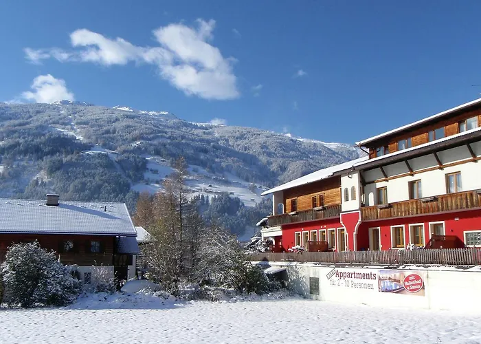 In Near Zillertal Area Stumm